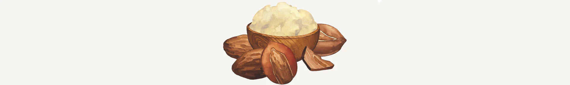 Shea Butter